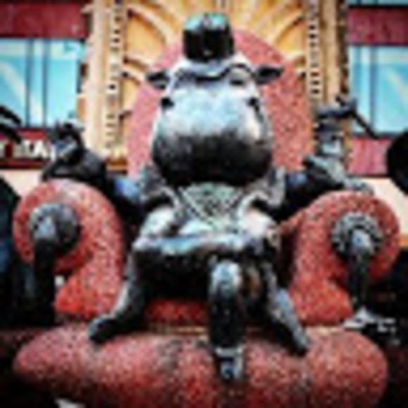 Meet your Posher, Mr. - Picture 1 of 1